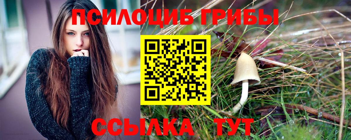 купить наркотик  Вход с VPN  Пыть-Ях  Галлюциногенные грибы ЛСД  Псилоцибиновые грибы мицелий 