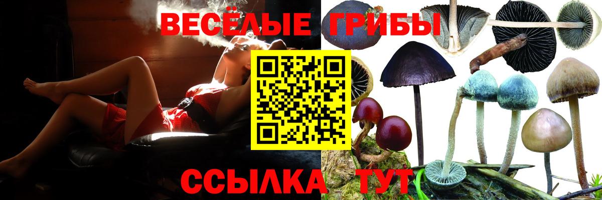 Галлюциногенные грибы мухоморы Пыть-Ях